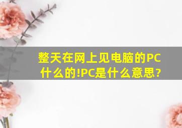 整天在网上见电脑的PC什么的!PC是什么意思?