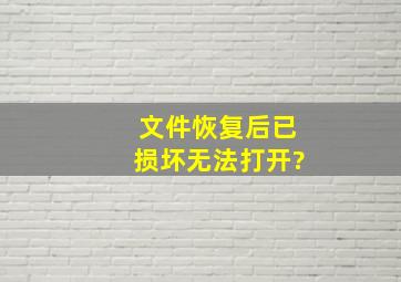 文件恢复后已损坏无法打开?