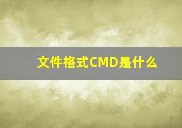 文件格式CMD是什么