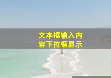 文本框输入内容,下拉框显示。