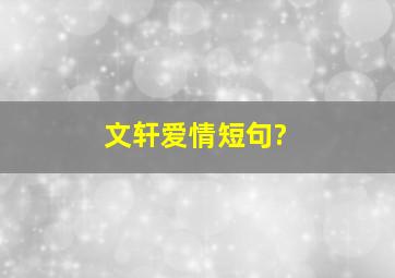 文轩爱情短句?