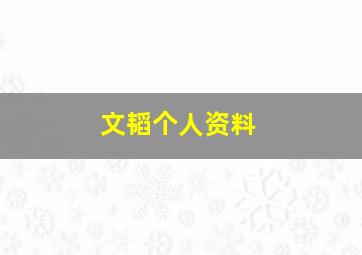 文韬个人资料