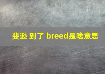 斐逊 到了 breed是啥意思