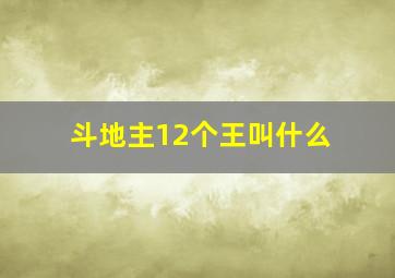 斗地主12个王叫什么