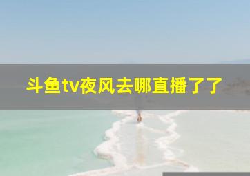 斗鱼tv夜风去哪直播了了