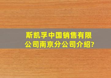 斯凯孚(中国)销售有限公司南京分公司介绍?