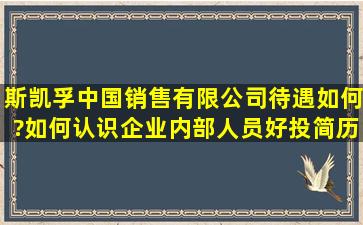 斯凯孚(中国)销售有限公司待遇如何?如何认识企业内部人员好投简历