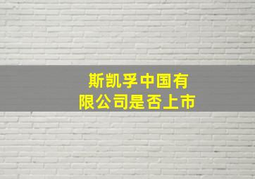 斯凯孚中国有限公司是否上市