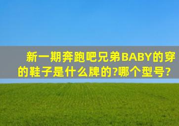 新一期奔跑吧兄弟BABY的穿的鞋子是什么牌的?哪个型号?