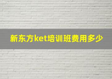 新东方ket培训班费用多少(