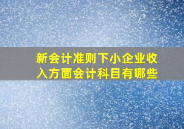 新会计准则下小企业收入方面会计科目有哪些