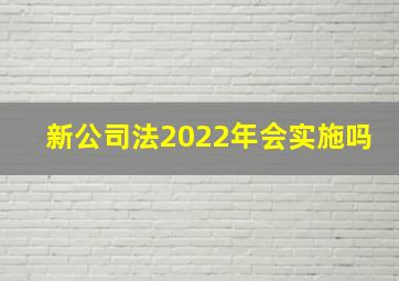 新公司法2022年会实施吗
