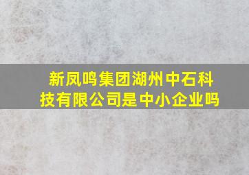 新凤鸣集团湖州中石科技有限公司是中小企业吗