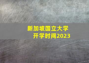 新加坡国立大学开学时间2023