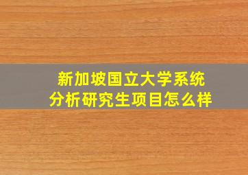 新加坡国立大学系统分析研究生项目怎么样