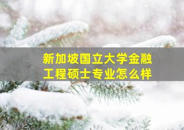 新加坡国立大学金融工程硕士专业怎么样