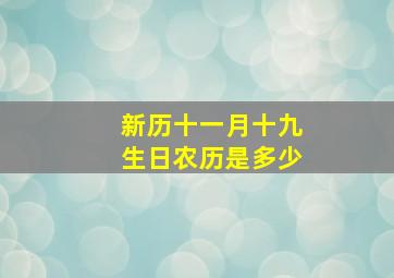 新历十一月十九生日农历是多少(