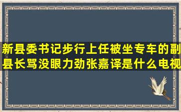 新县委书记步行上任,被坐专车的副县长骂没眼力劲张嘉译是什么电视剧