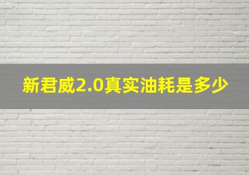 新君威2.0真实油耗是多少