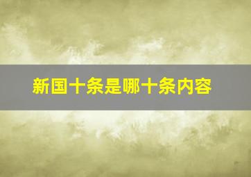 新国十条是哪十条内容