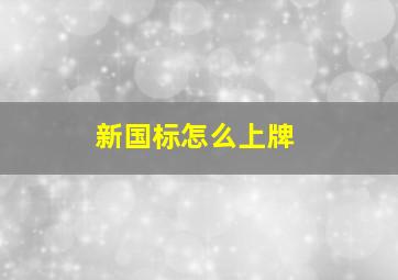 新国标怎么上牌(