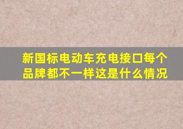 新国标电动车充电接口,每个品牌都不一样,这是什么情况