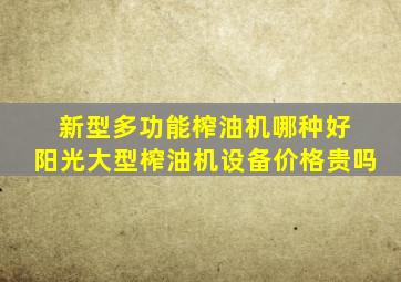 新型多功能榨油机哪种好 阳光大型榨油机设备价格贵吗