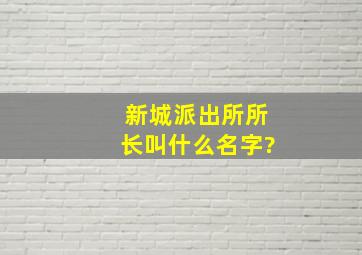 新城派出所所长叫什么名字?