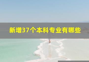 新增37个本科专业有哪些