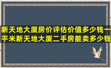 新天地大厦房价评估价值多少钱一平米,新天地大厦二手房能卖多少钱...