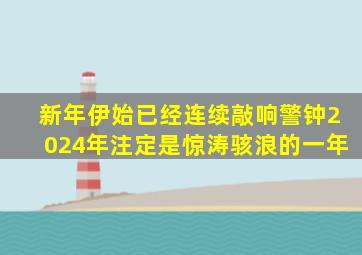 新年伊始,已经连续敲响警钟,2024年注定是惊涛骇浪的一年