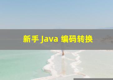 新手 Java 编码转换