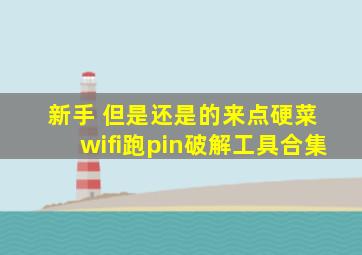 新手 但是还是的来点硬菜 wifi跑pin破解工具合集