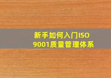 新手如何入门ISO9001质量管理体系