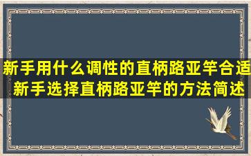 新手用什么调性的直柄路亚竿合适 新手选择直柄路亚竿的方法简述