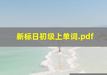 新标日初级上单词.pdf