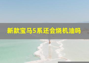 新款宝马5系还会烧机油吗(