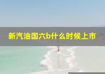 新汽油国六b什么时候上市