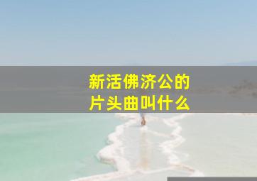 新活佛济公的片头曲叫什么