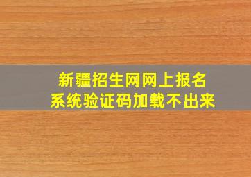 新疆招生网网上报名系统验证码加载不出来