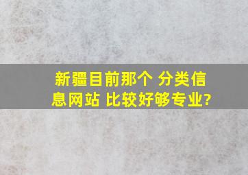 新疆目前那个 分类信息网站 比较好够专业?