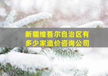 新疆维吾尔自治区有多少家造价咨询公司