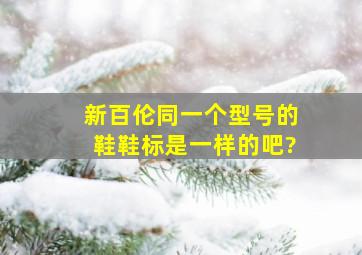 新百伦同一个型号的鞋鞋标是一样的吧?