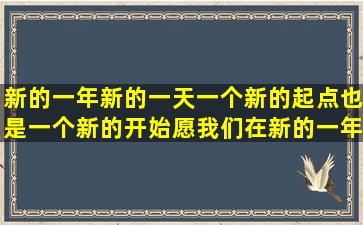 新的一年新的一天一个新的起点也是一个新的开始愿我们在新的一年...