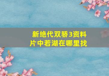 新绝代双骄3资料片中若湖在哪里找