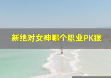 新绝对女神哪个职业PK狠