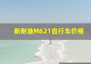 新耐迪M621自行车价格