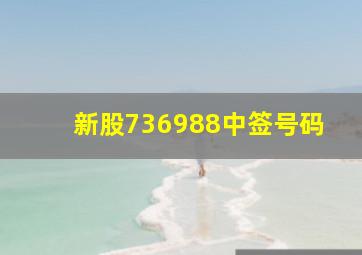 新股736988中签号码