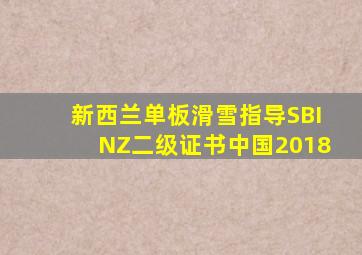 新西兰单板滑雪指导SBINZ二级证书中国2018