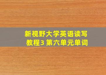 新视野大学英语读写教程3 第六单元单词